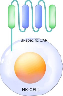 tech-cell-01